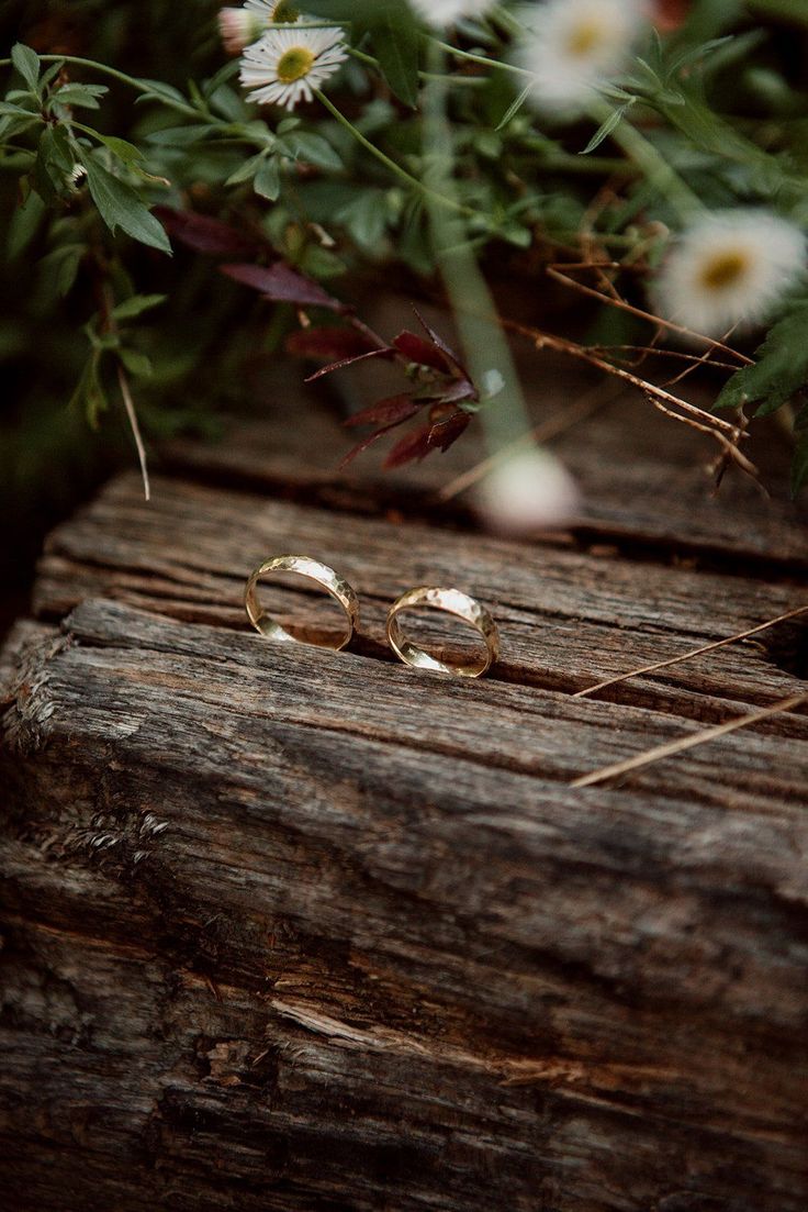 Dos anillos sobre madera, rodeados de hojas verdes y flores blancas.